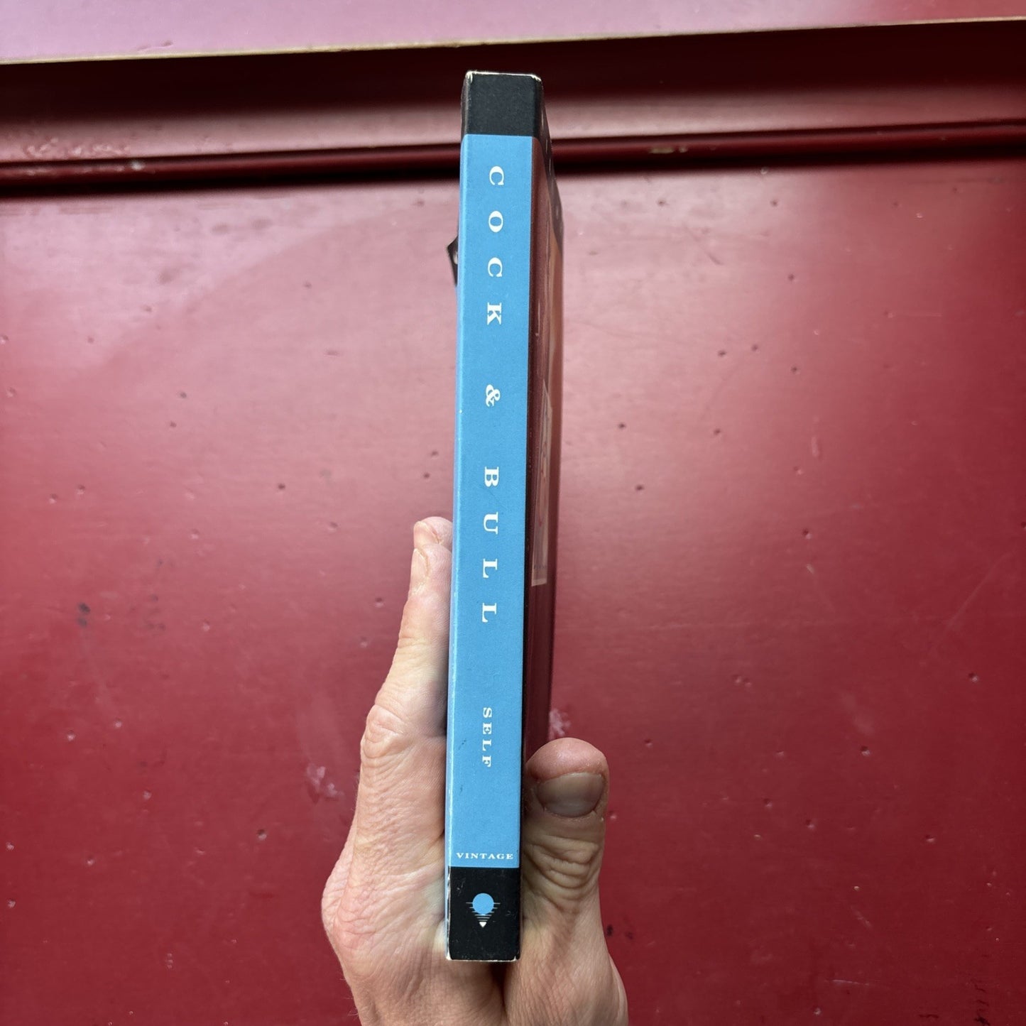 Cock and Bull by Will Self (1994, Trade Paperback)