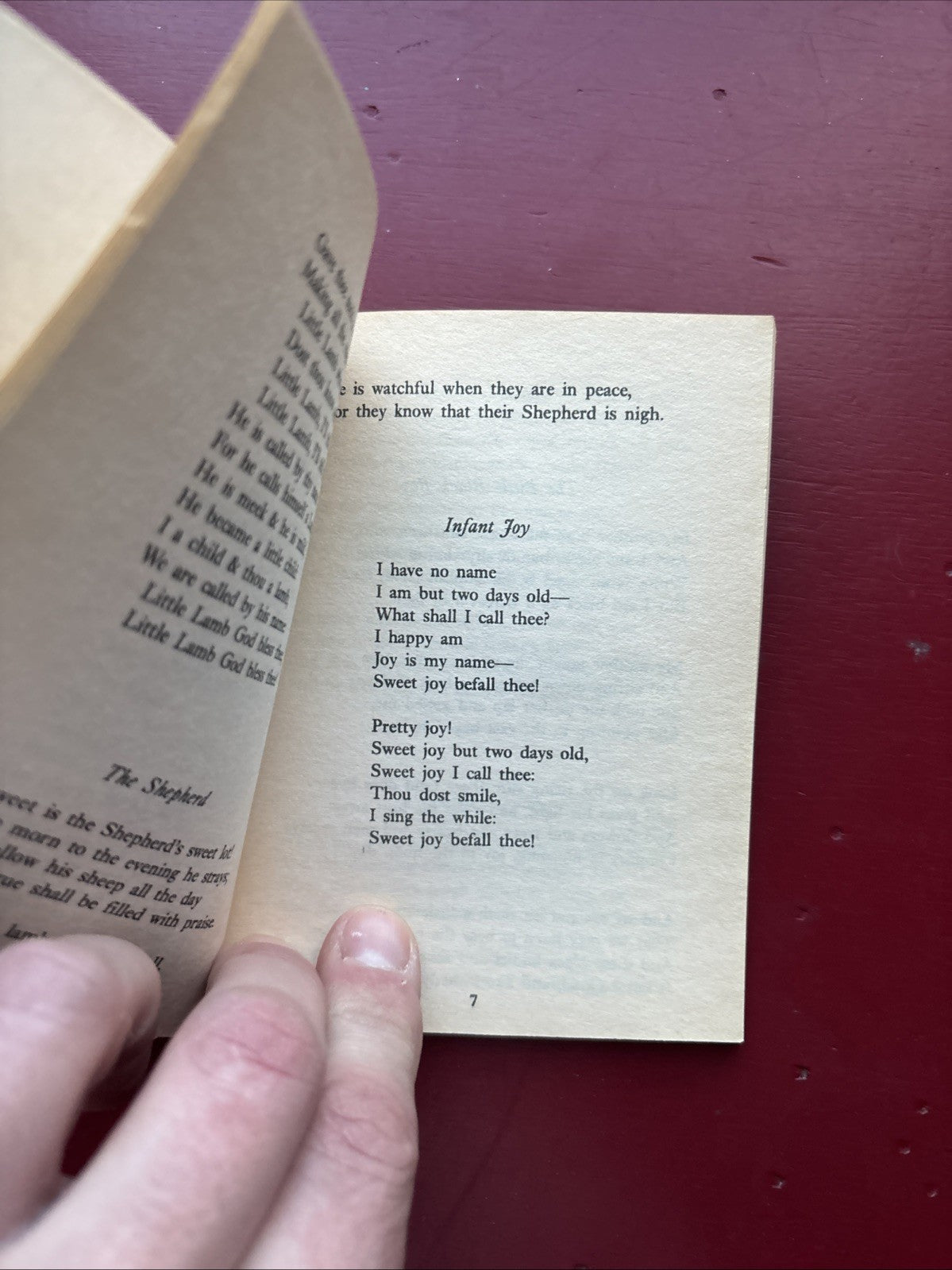 “Songs of Innocence & Songs of Experience" by William Blake & Essays Montaigne