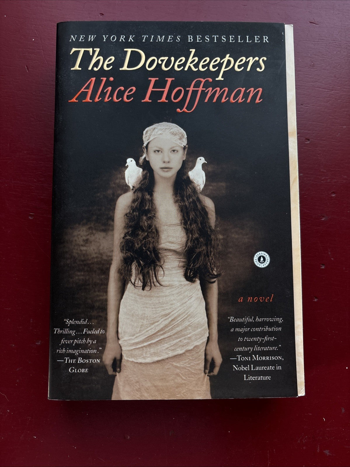 Dovekeepers by Alice Hoffman (2012, Trade Paperback)