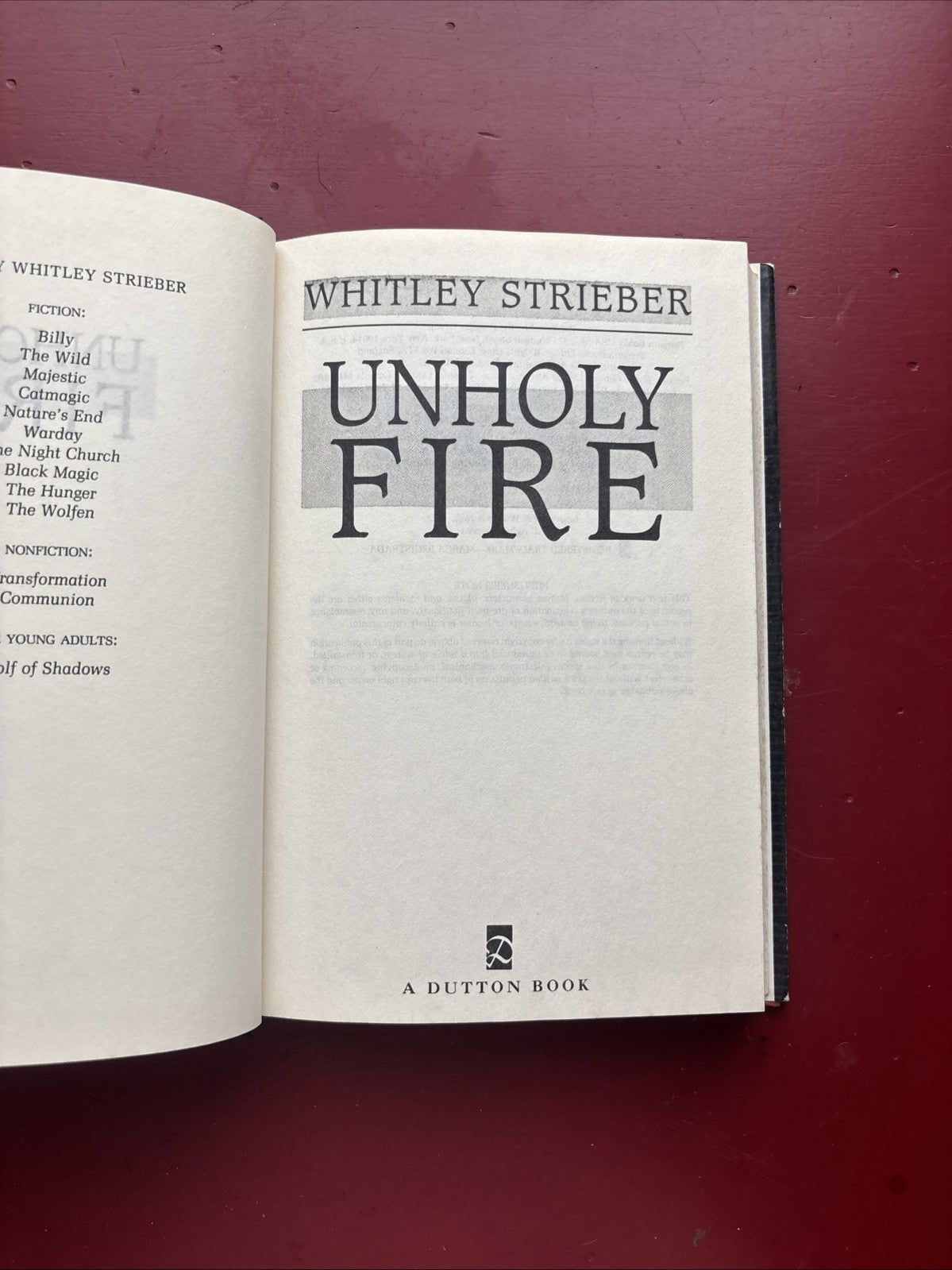 UNHOLY FIRE by Whitley Strieber (1992, Hardcover) (1st Ed.)