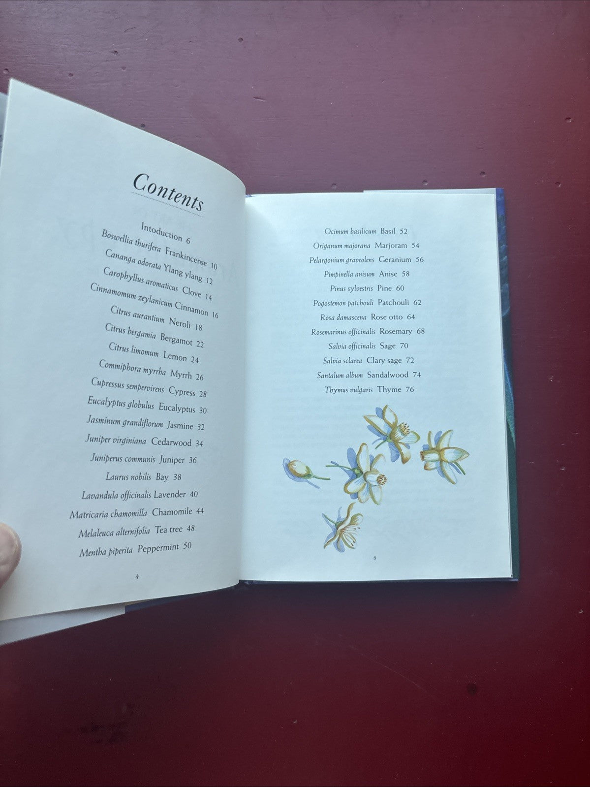 The Art of Aromatherapy Pamela Allardice 1998 Hardcover Essential Oils