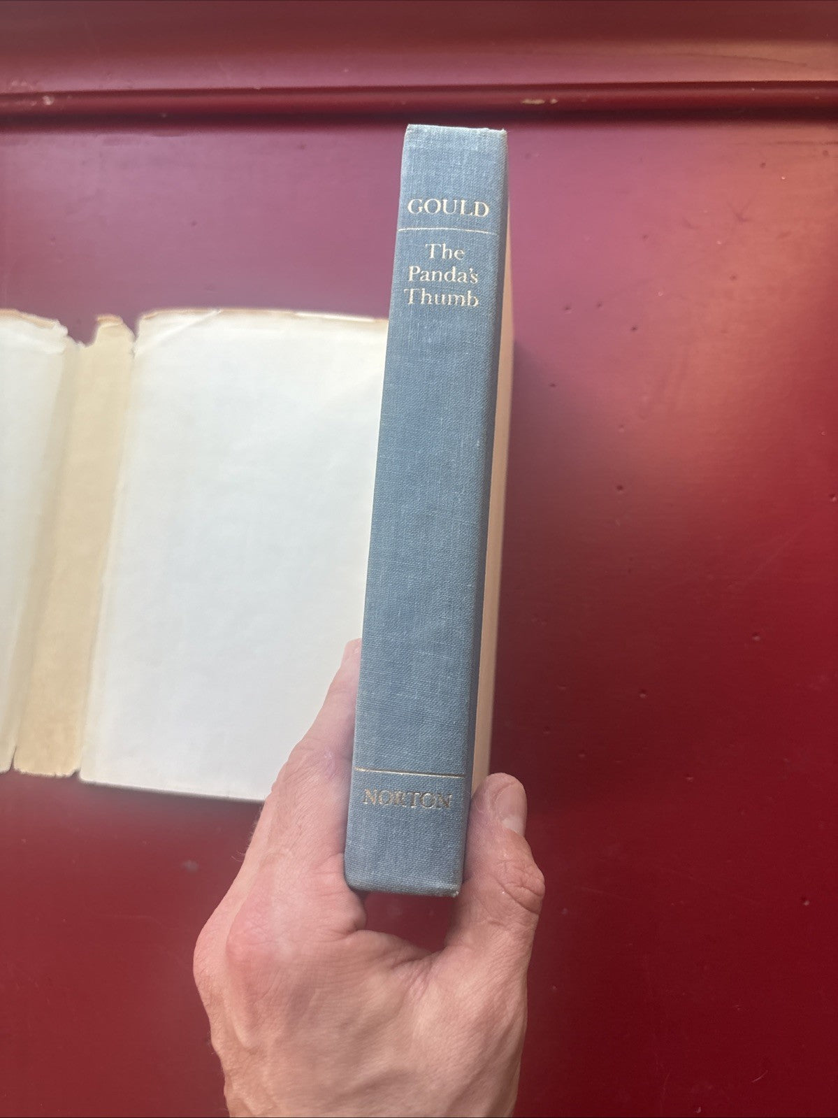 The Panda’s Thumb by Stephen Jay Gould (1980, Hardcover) (1st Ed.)