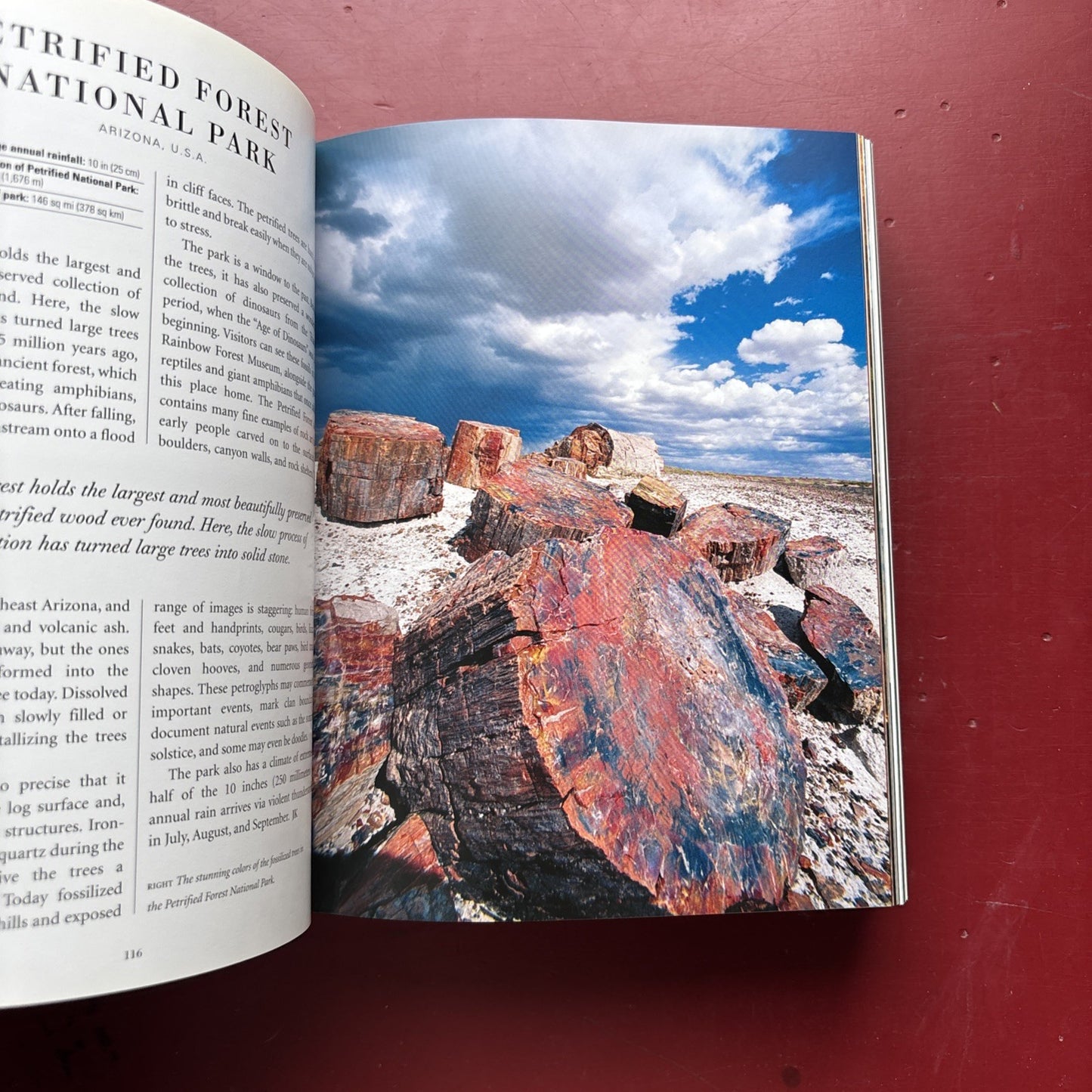 1001 Natural Wonders : Places You Must See Before You Die by Michael Bright...