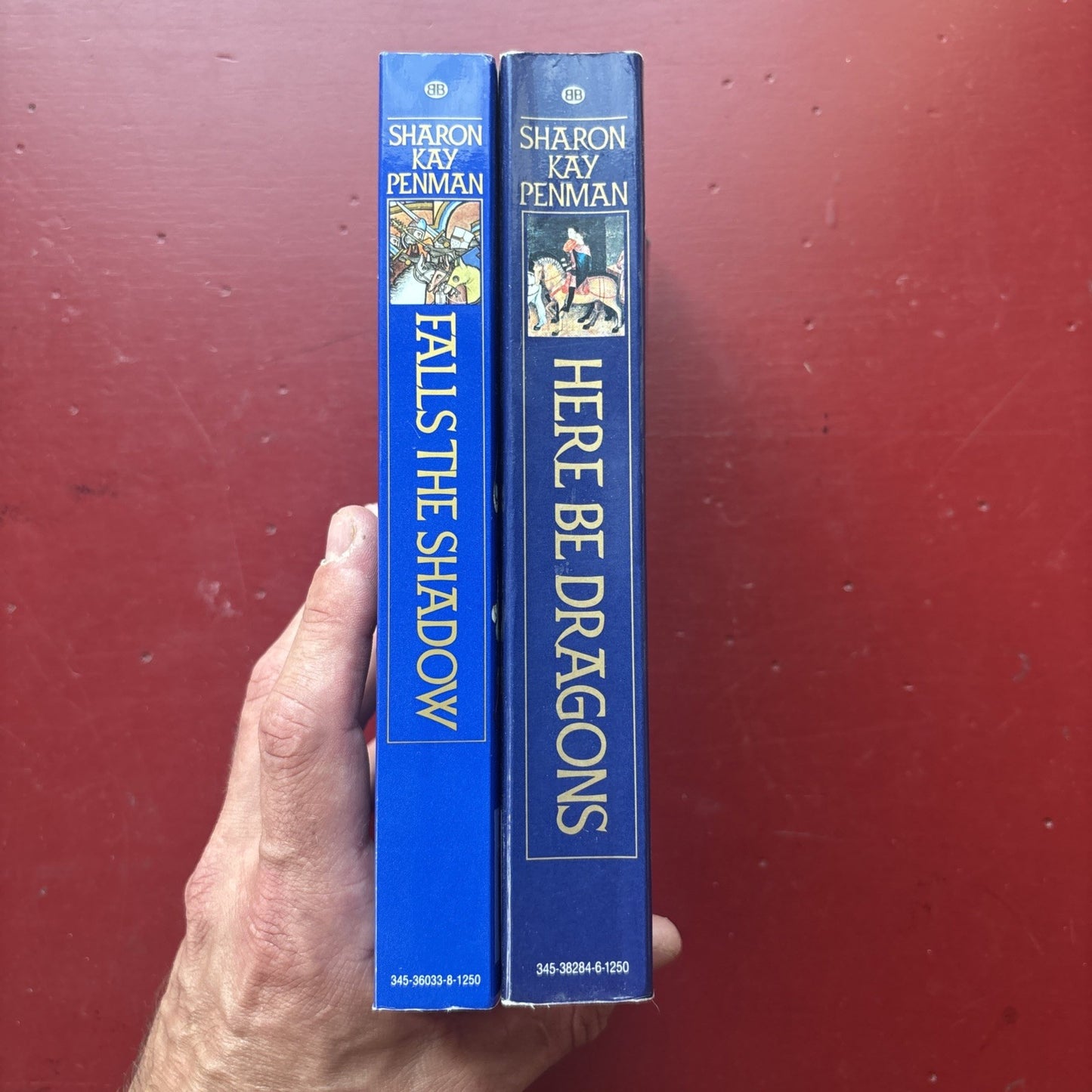 Lot: Sharon Kay Penman The Welsh Princes Trilogy Books 1 2 Here be Dragons Falls