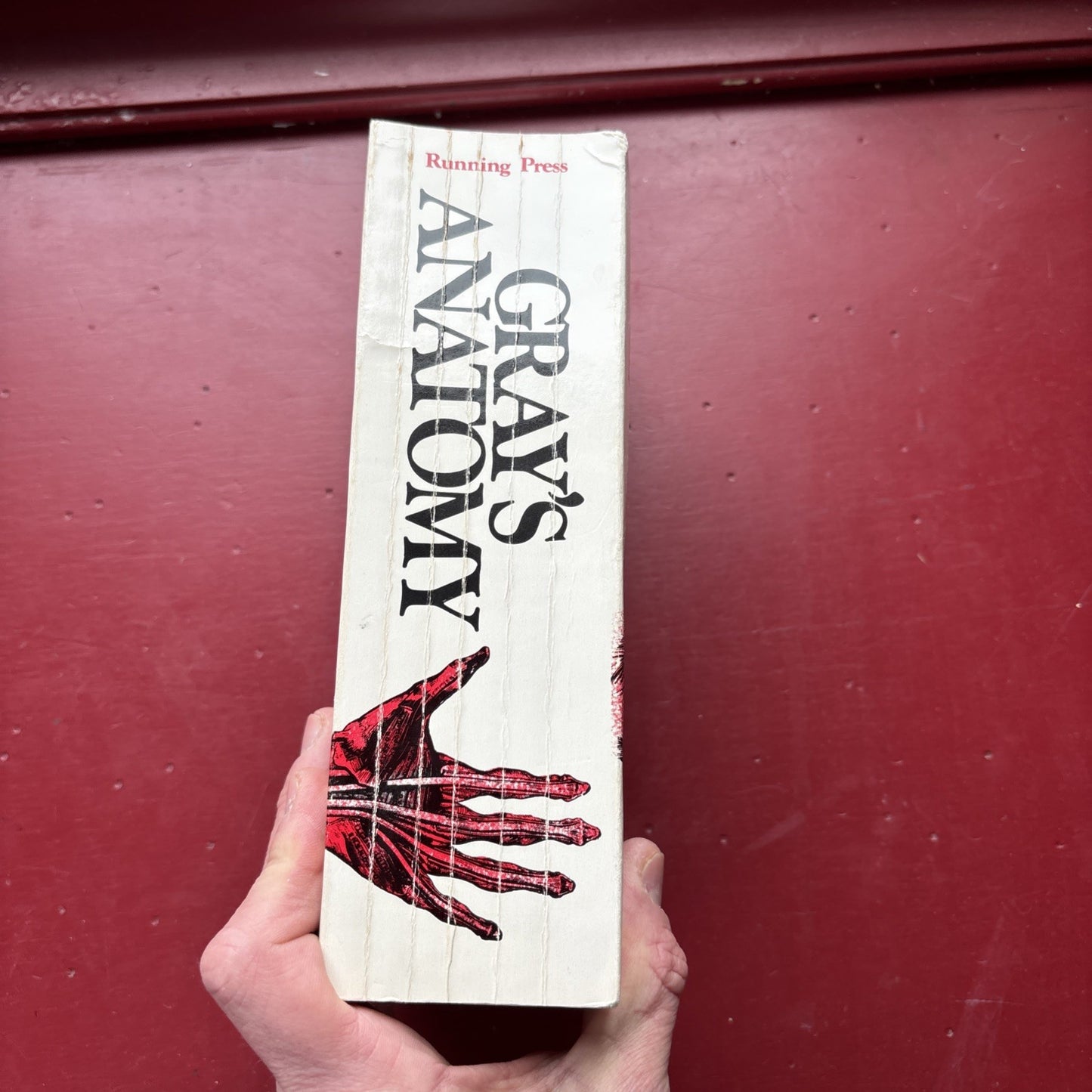 Gray's Anatomy : The Unabridged Running Press Edition of the American Classic by