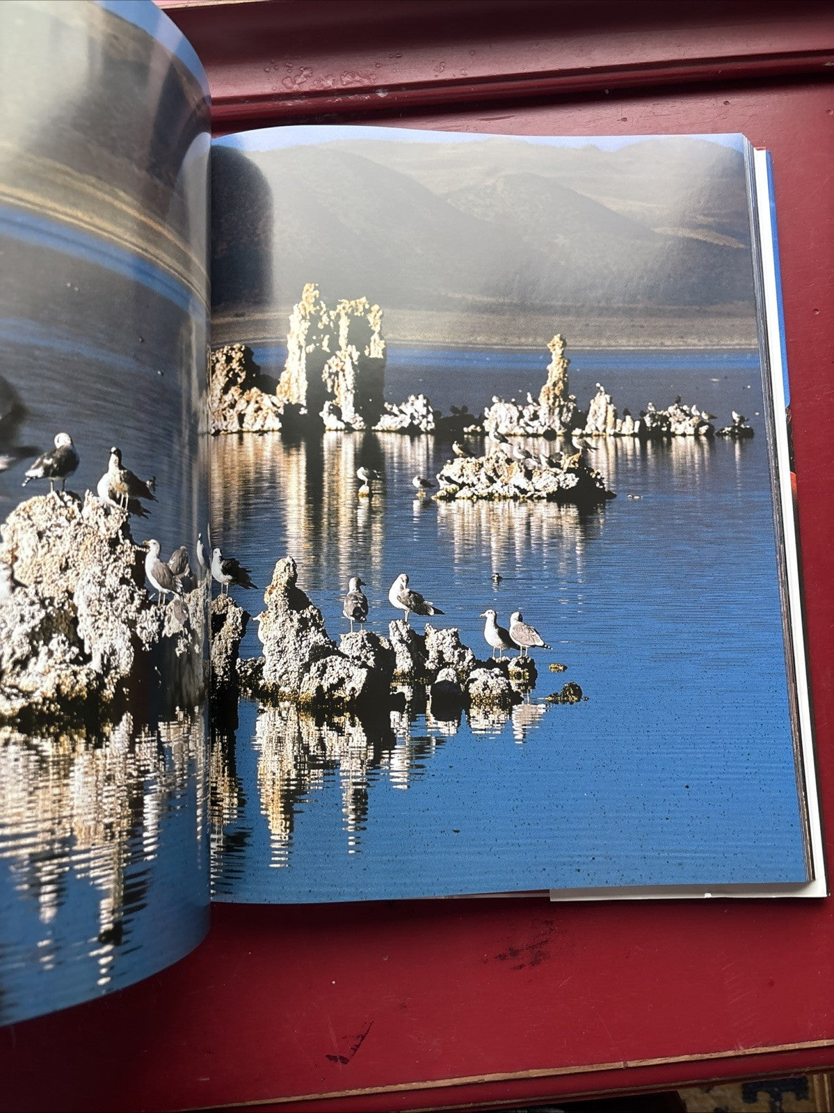 America's Parks by Philippe Bourseiller (2006, Hardcover)