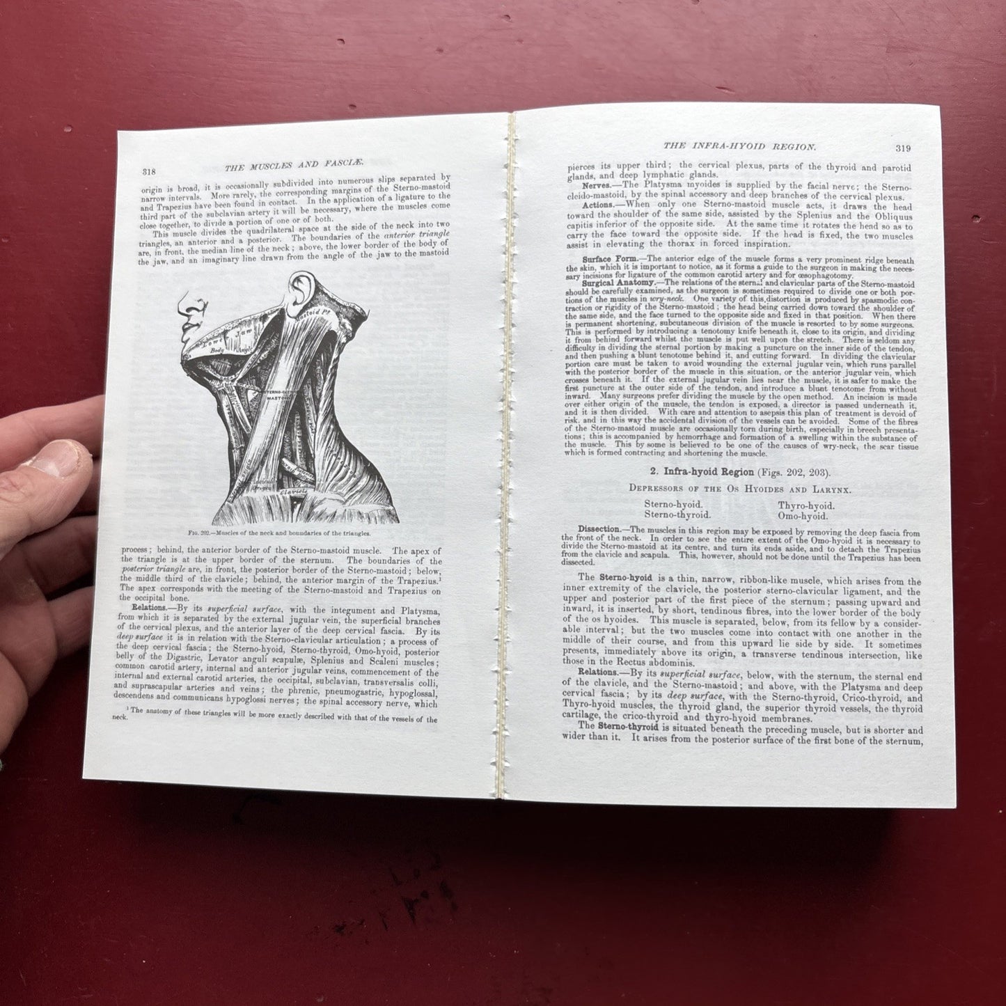Gray's Anatomy : The Unabridged Running Press Edition of the American Classic by