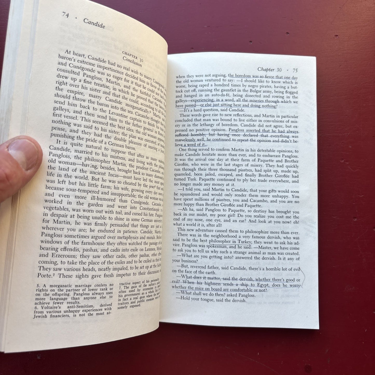 Norton Critical Edition CANDIDE (1966) Voltaire w/Criticism (Light Annotation)