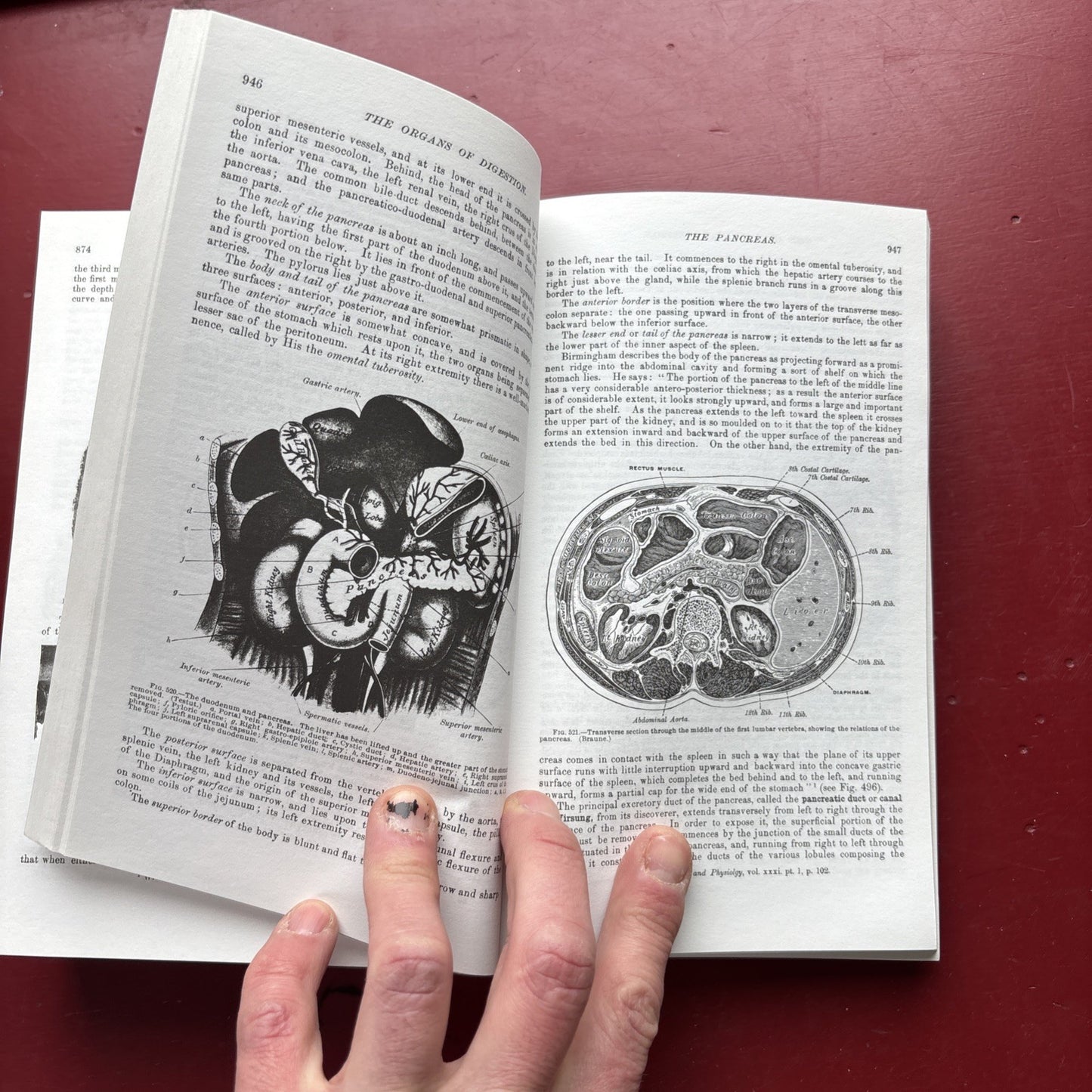 Gray's Anatomy : The Unabridged Running Press Edition of the American Classic by