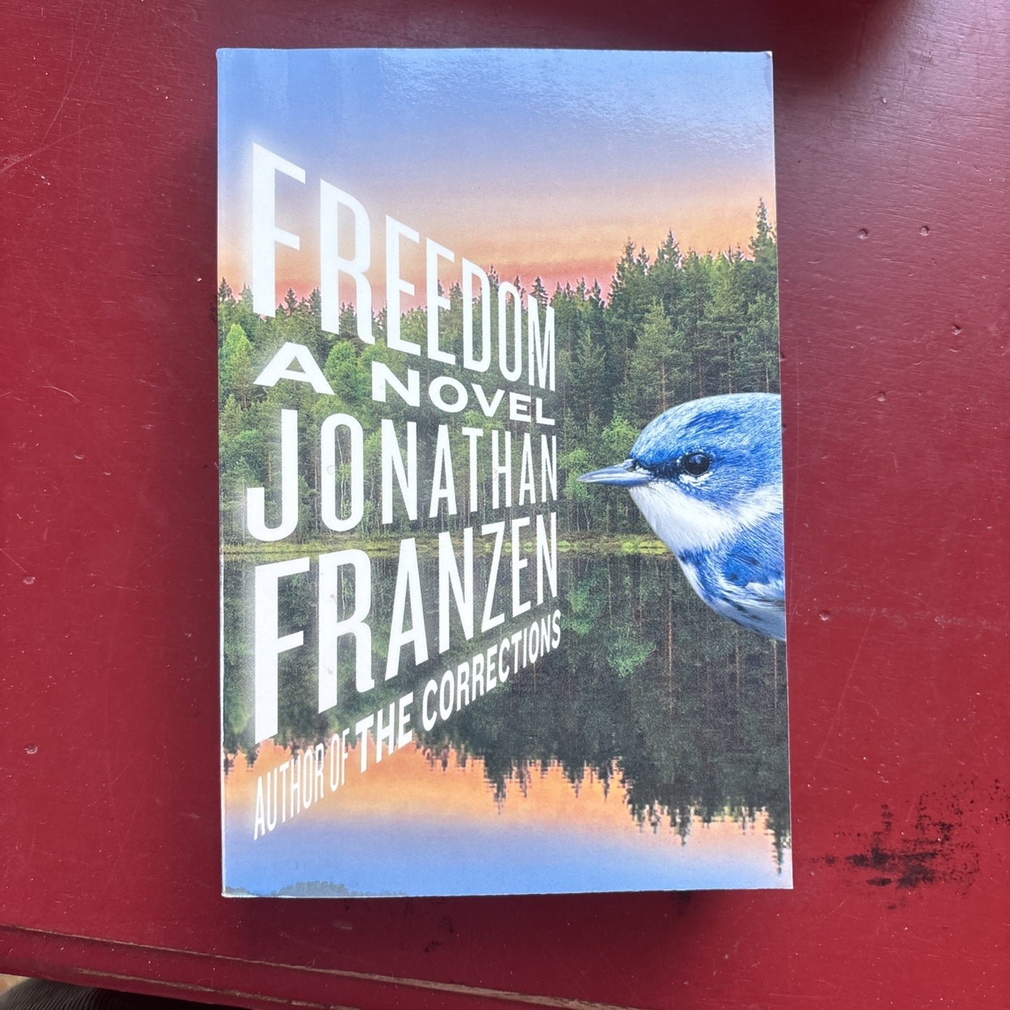 Freedom by Jonathan Franzen (2010, Trade Paperback)
