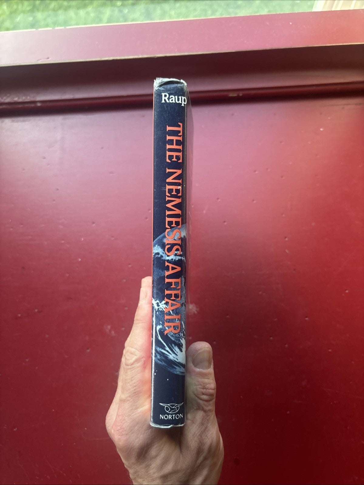 The Nemesis Affair: Death of the Dinosaurs by David M. Raup (1986, Hardcover)