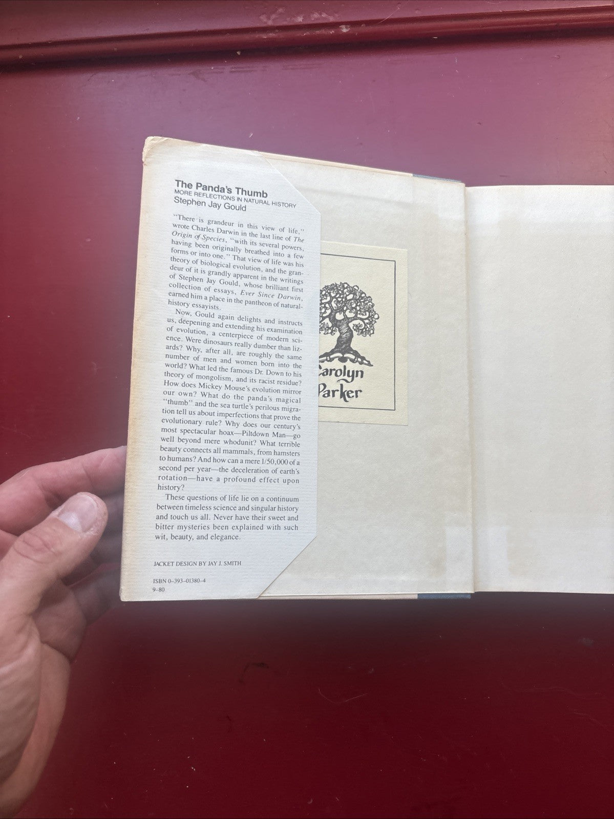 The Panda’s Thumb by Stephen Jay Gould (1980, Hardcover) (1st Ed.)