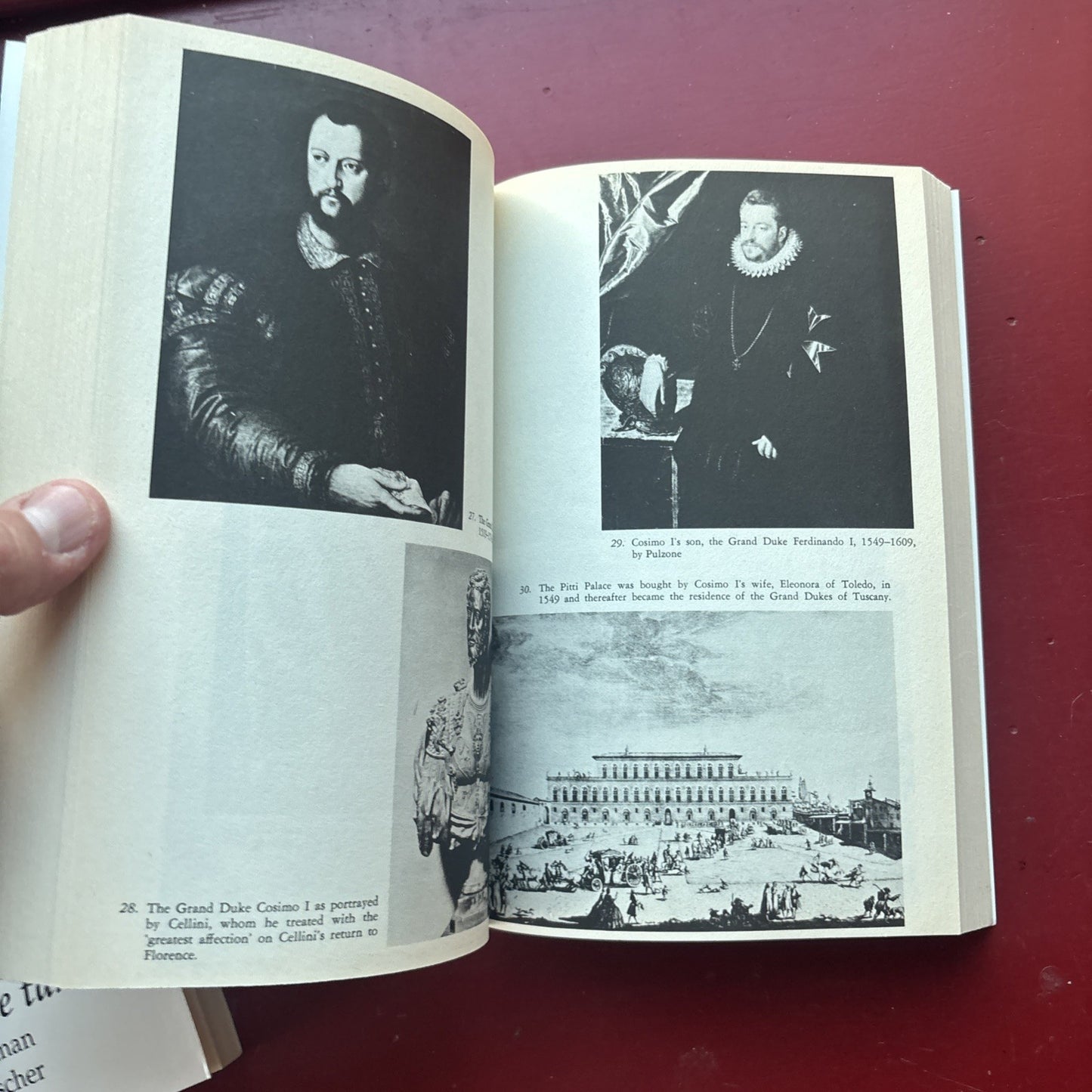 The House of Medici Christopher Hibbert Rise and Fall Paperback History Wealth