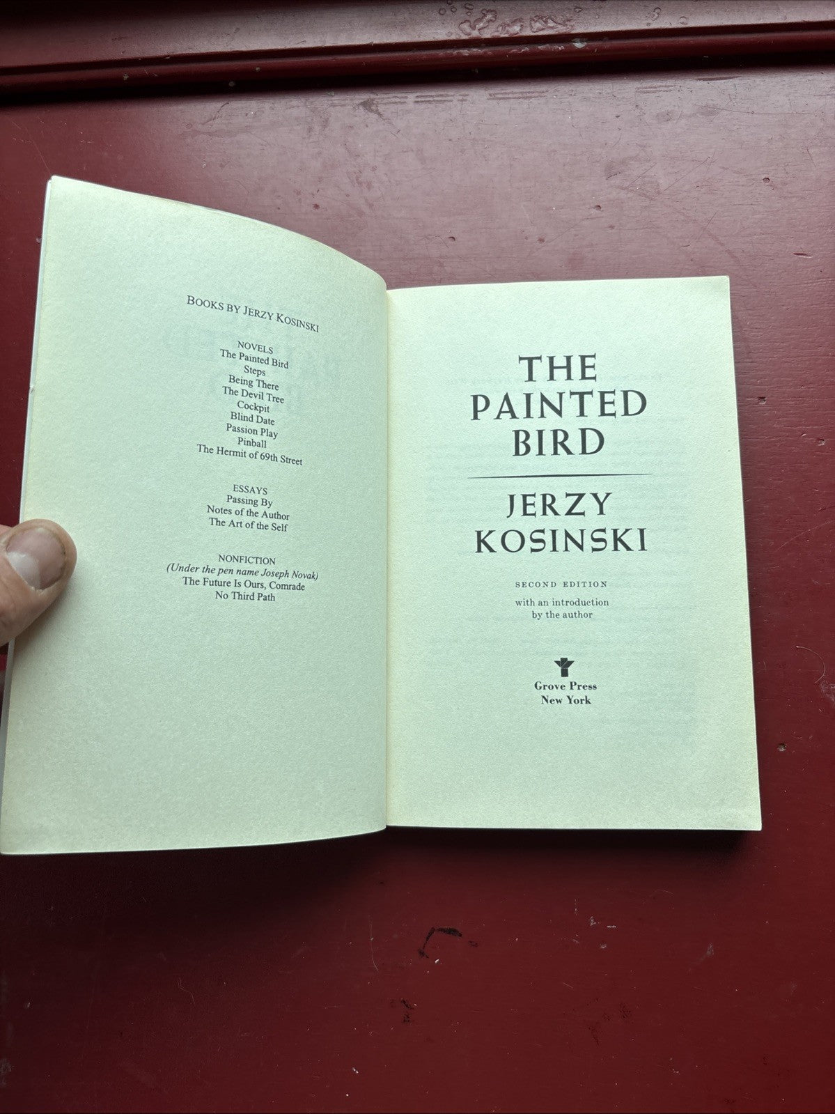 The Painted Bird Jerzy Kosinski Paperback 1995 2nd Ed Historical Fiction WWII