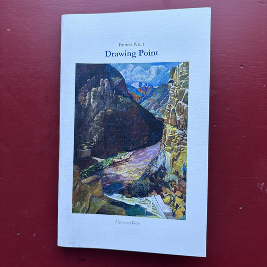 TAOS, NEW MEXCO. DRAWING POINT BY PATRICIA PRUITT 2016 22/100 SIGNED 1ST EDITION
