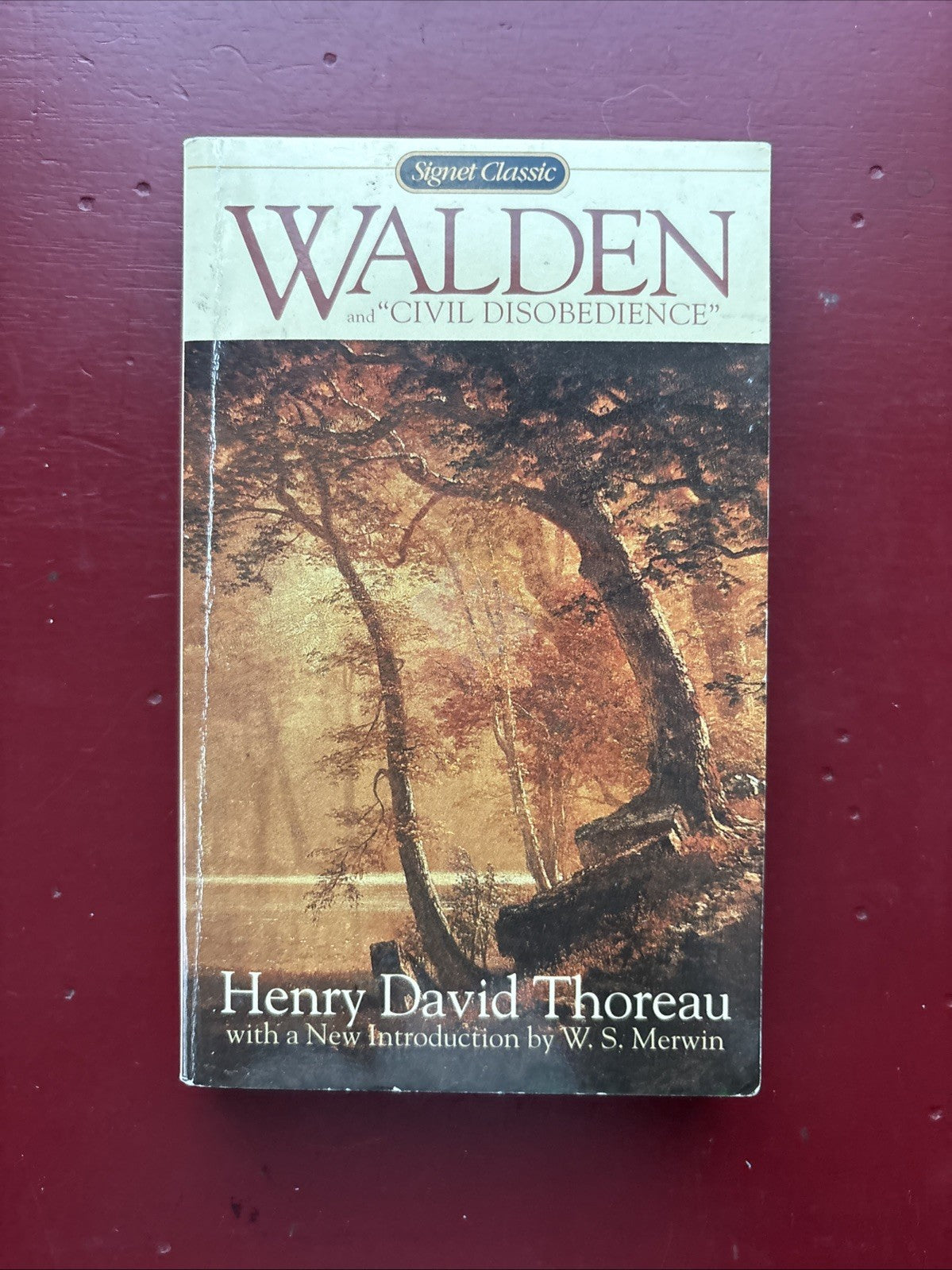 Walden and Civil Disobedience: Or, Life in the Woods by Henry David Thoreau