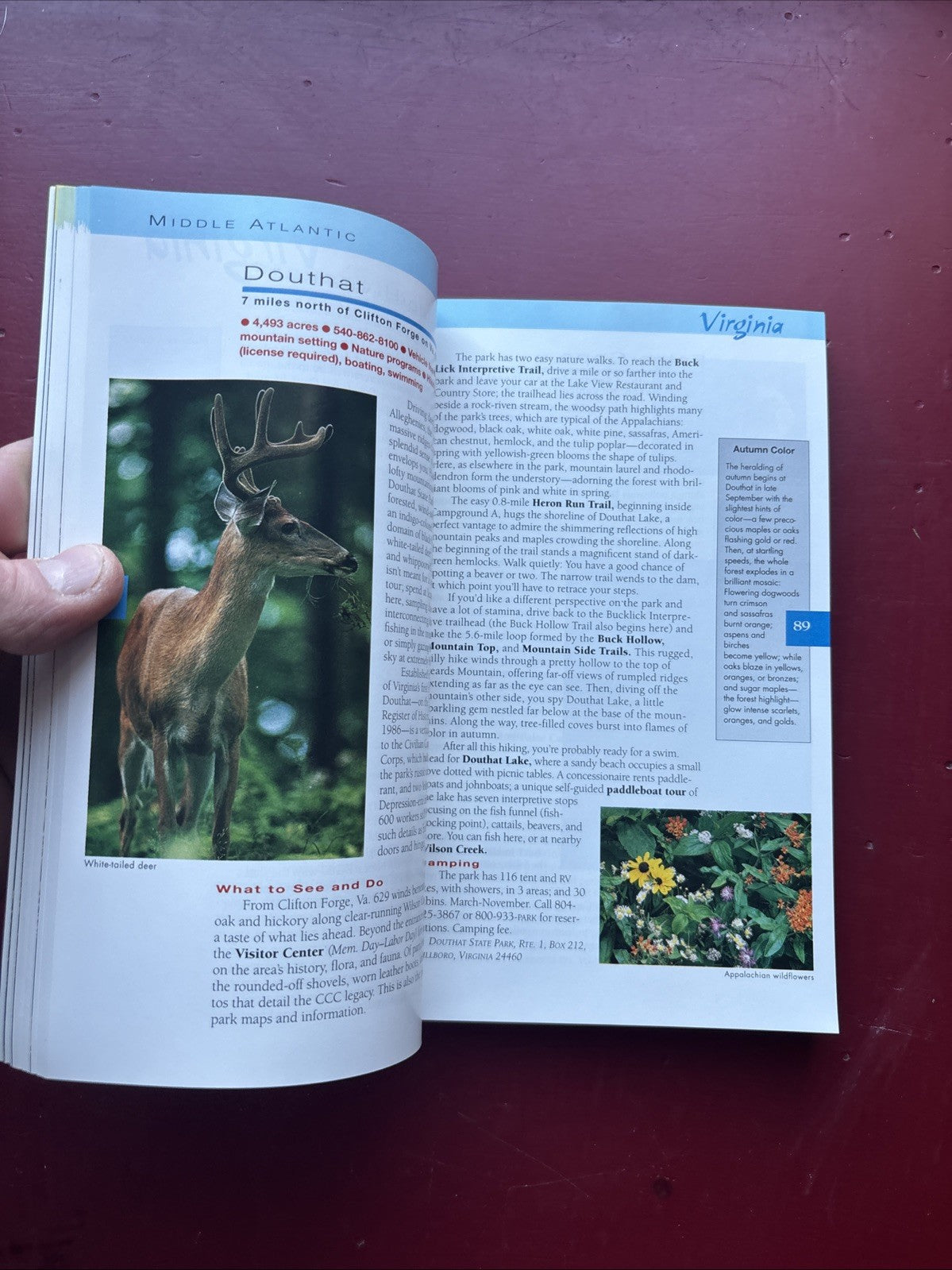 Guide to State Parks by National Geographic (1998, Hardcover)