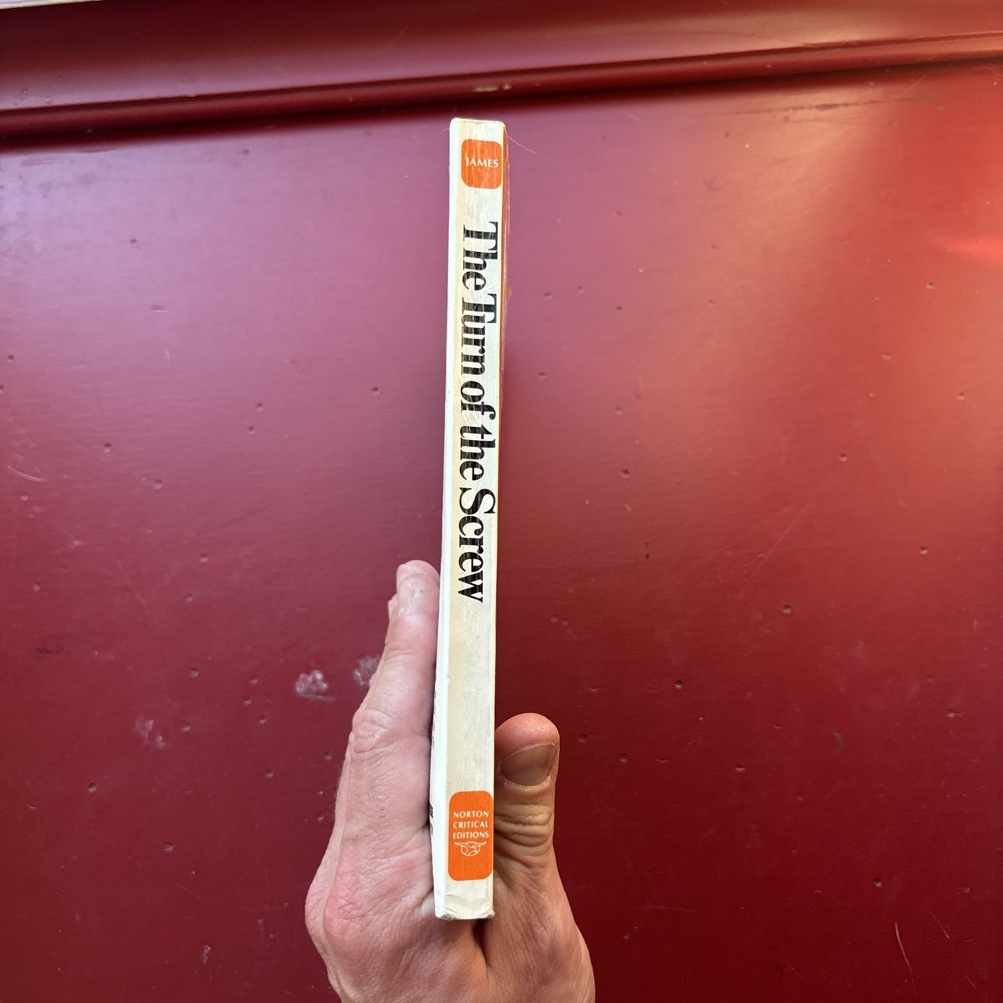 The Turn of the Screw by Henry James W.W. Norton Paperback (Lightly Annotated)
