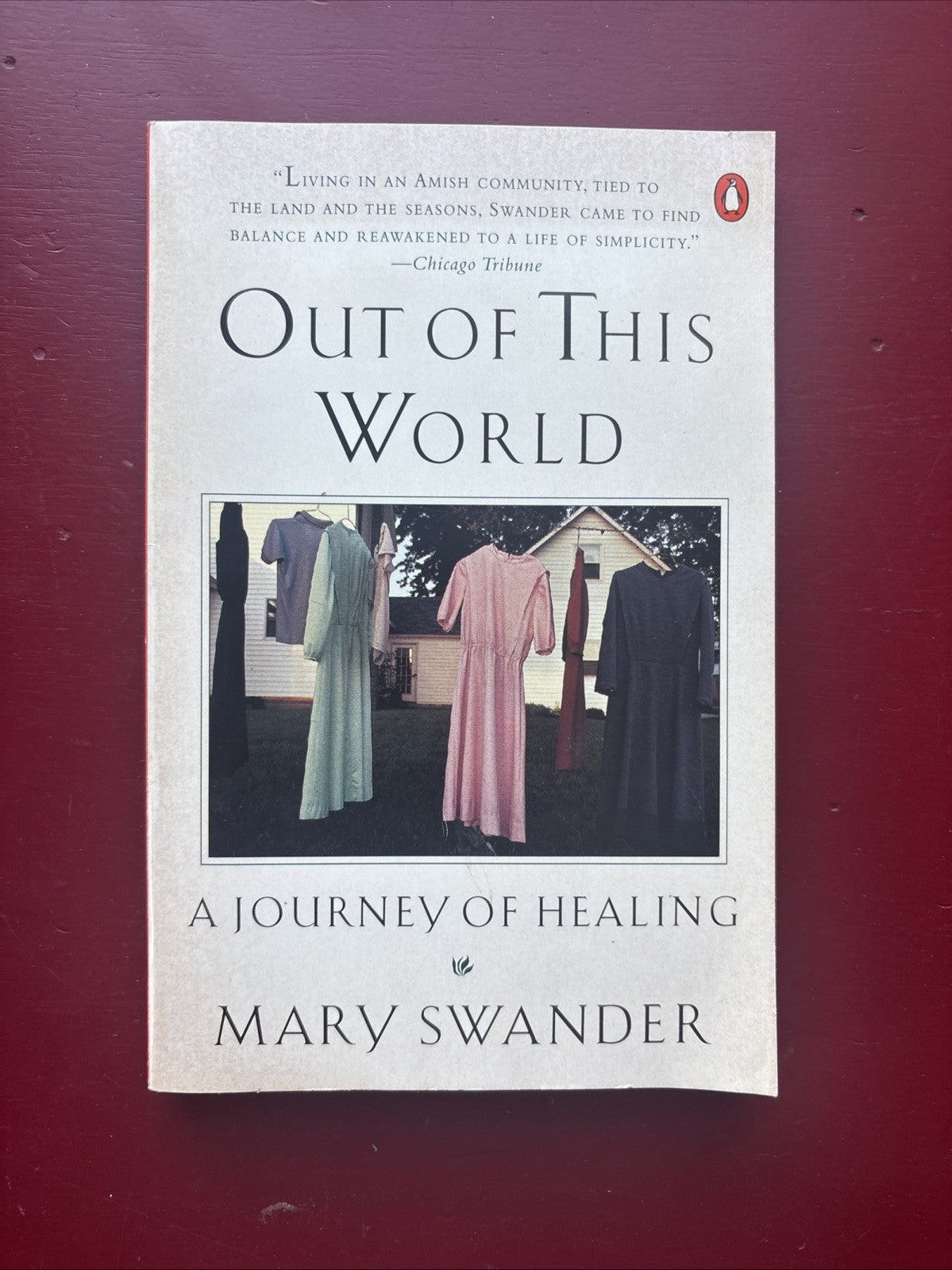 Out of This World : A Journey of Healing by Mary Swander (1996, Trade Paperback)