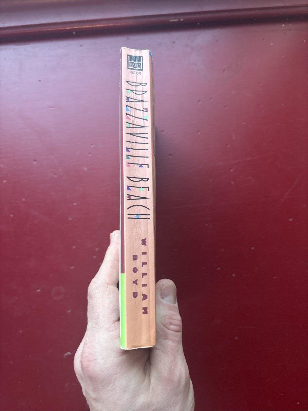 Brazzaville Beach by William Boyd (1995, Book, Other)