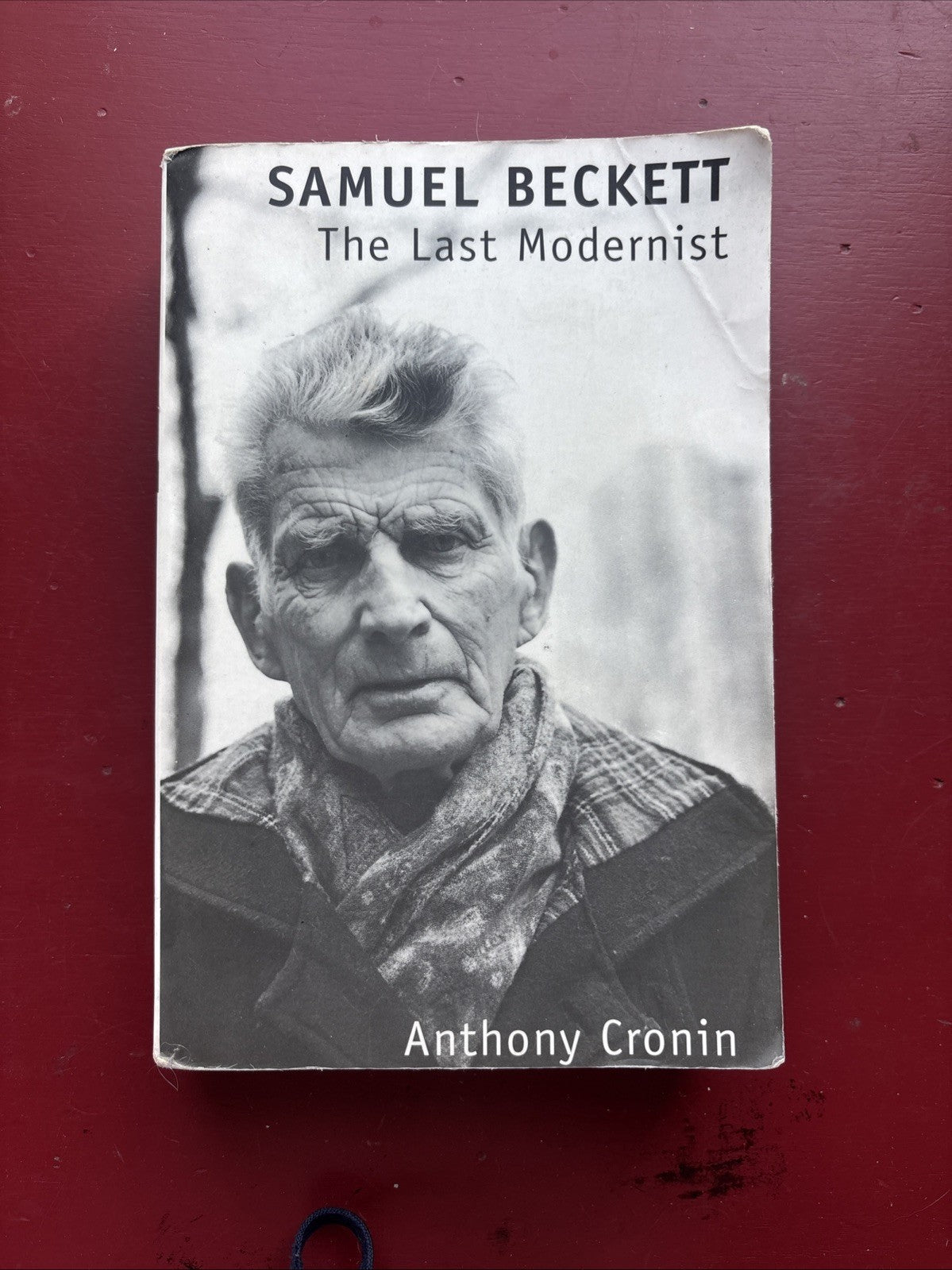 Samuel Beckett by Isaac Cronin (1999, Trade Paperback)