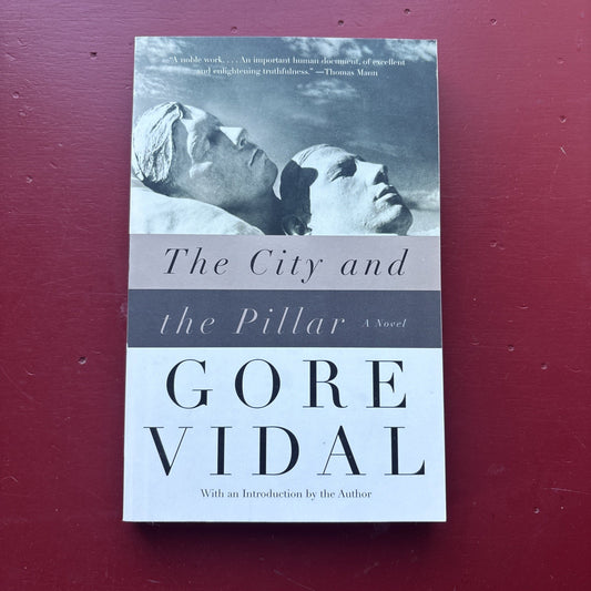 City and the Pillar : A Novel by Gore Vidal (2003, Trade Paperback)