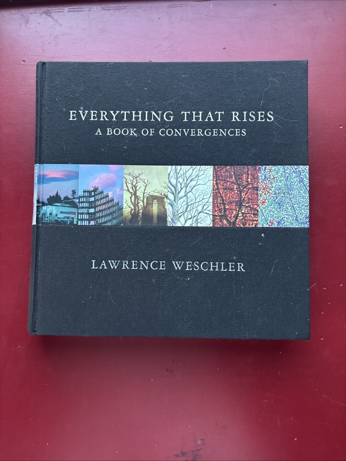 Lawrence Weschler / Everything That Rises A Book of Convergences 1st ed 2006